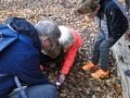 Paddenstoelen-2020-8