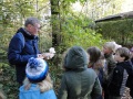 paddenstoelen-2020-3