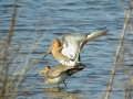 024 DSC08768