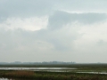 001 DSC09265 Polder Arkemheen