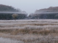 01-DSC01690-