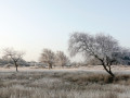 03-DSC01702-