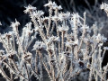08-DSC01707-