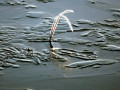 09-DSC01725-