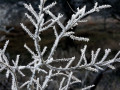 41-DSC01696-