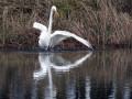 48-DSC01571