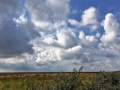 201709_Luchten van Schier (11)