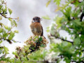01-DSC01931-