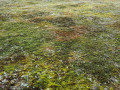 03-DSC01939-