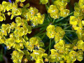 04-DSC01948-