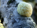 08-DSC02709-