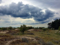 09-DSC02006-