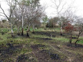 10-DSC02012-