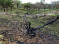 11-DSC02022-
