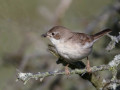 17-DSC02221-