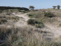 21-DSC02234-