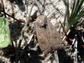 24-DSC02269-