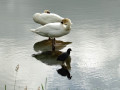 25-DSC02299-