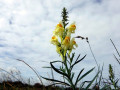 27-DSC02313-