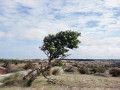 29-DSC02332-