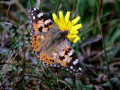 33-DSC02374-