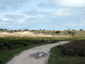 38-DSC02435-