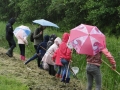 Slootje 2019 (15)