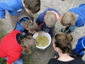 Slootje 2018 (7)