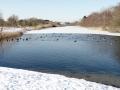 01-DSC05642-.