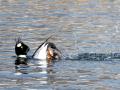 06-DSC05478-
