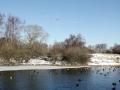 09-DSC05589.