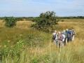 IMG_6812-kopie