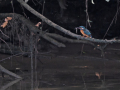 JOS_5491-
