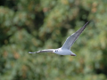 JOS_5599-