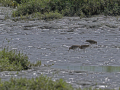 JOS_5614-