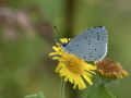 JOS_5635-