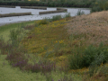 JOS_5656-