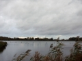 DSC02431