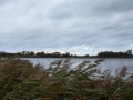 DSC02435