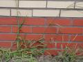 P7290830-2-