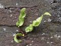 P7290834-2-
