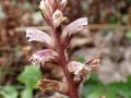 P7290836-2-