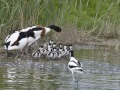 Bergeenden_201480_1