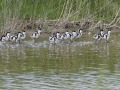 Bergeenden_210474_1