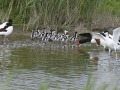 Bergeenden_210477_1