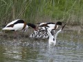 Bergeenden_210483