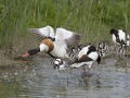 Bergeenden_210500