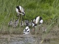 Bergeenden_210504