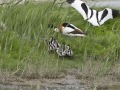 Bergeenden_210511_2