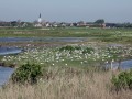 01-DSC03013-